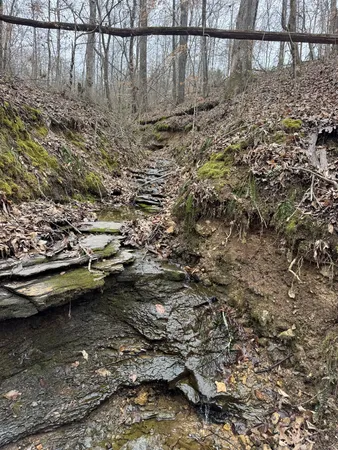 $315,000 | 760 Rose Hill Road, Pulaski, TN 38478
