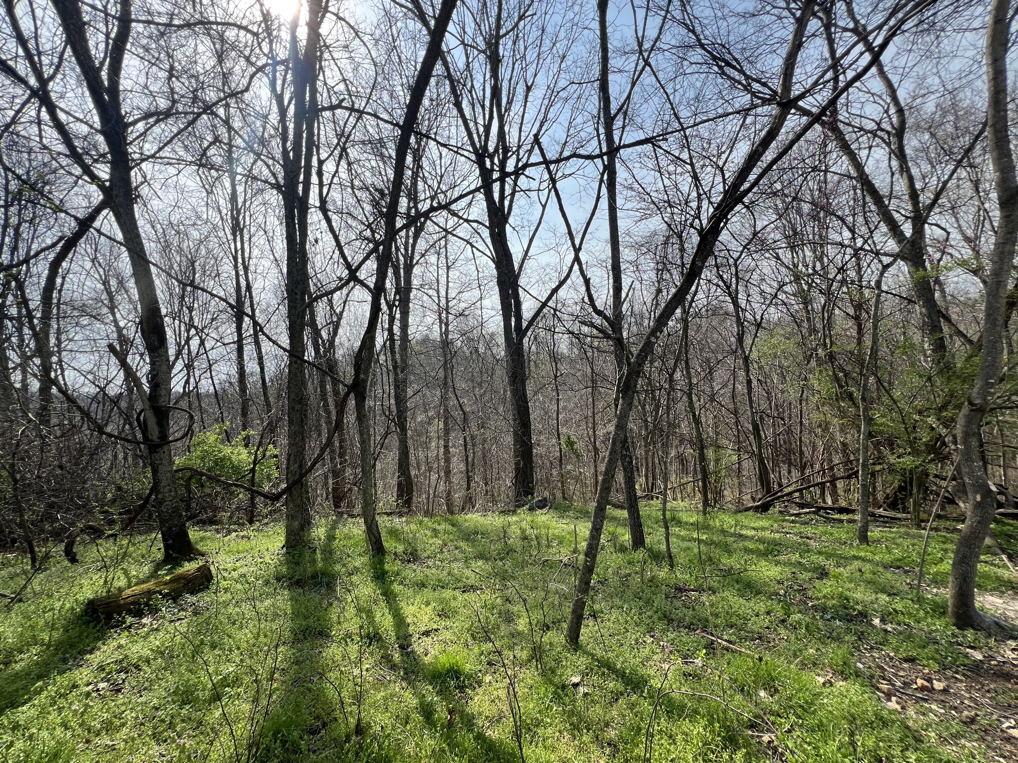 760 Rose Hill Road Pulaski, TN 38478 - Photo 21 of 23