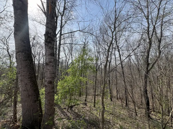 $315,000 | 760 Rose Hill Road, Pulaski, TN 38478