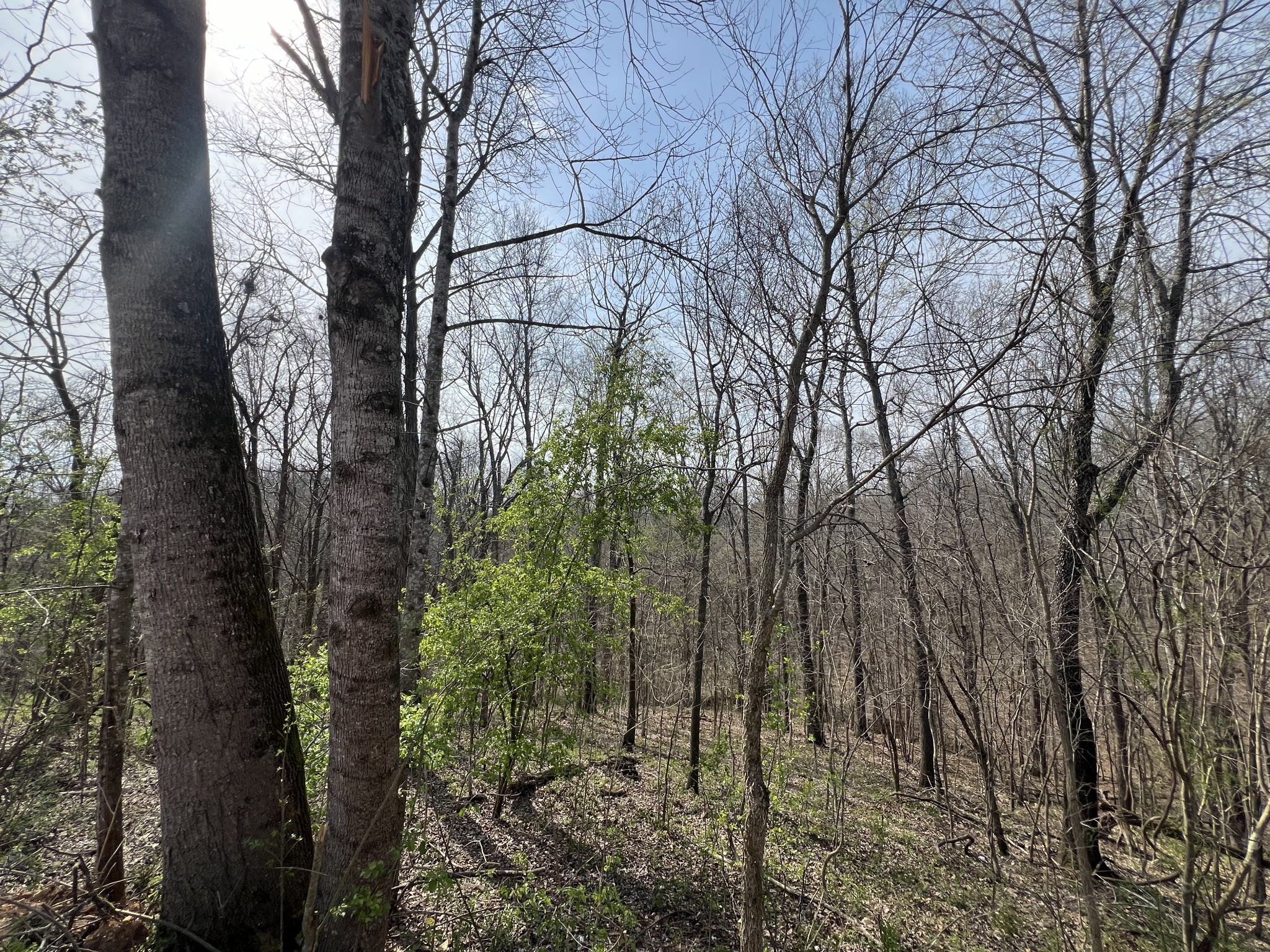 760 Rose Hill Road Pulaski, TN 38478 - Photo 22 of 23