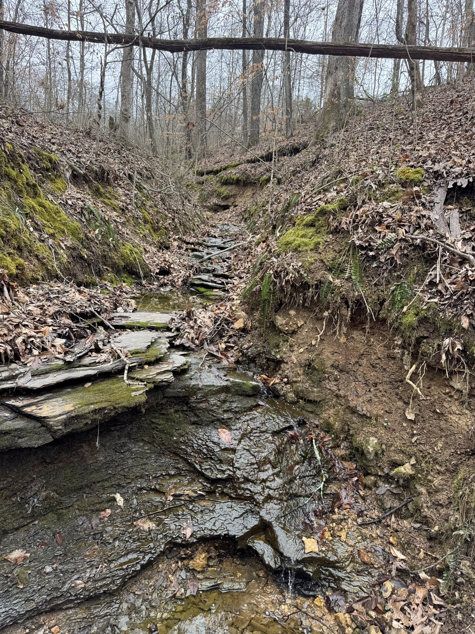 760 Rose Hill Road Pulaski, TN 38478 - Photo 23 of 23