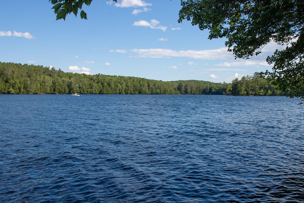 207 Lovejoy Pond Road Wayne, ME 04284 - Photo 3 of 39 IMG_8474