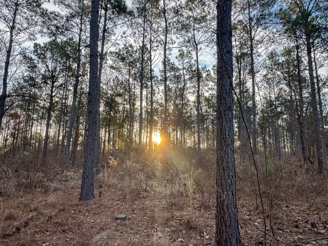 $95,920 | 4302 De Kalb Tx 75559, De Kalb, TX 75559