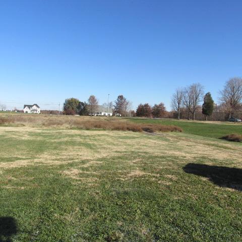 2765 Kinneys Road Cedar Hill, TN 37032 - Photo 3 of 16 View from front porch of road-sits back for privacy
