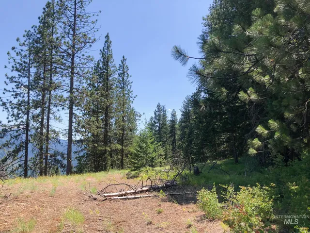$3,300,000 | 5110 Highway 95, New Meadows, ID 83654