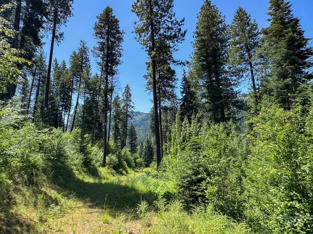 $3,300,000 | 5110 Highway 95, New Meadows, ID 83654