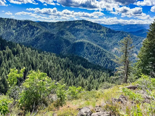 $3,300,000 | 5110 Highway 95, New Meadows, ID 83654