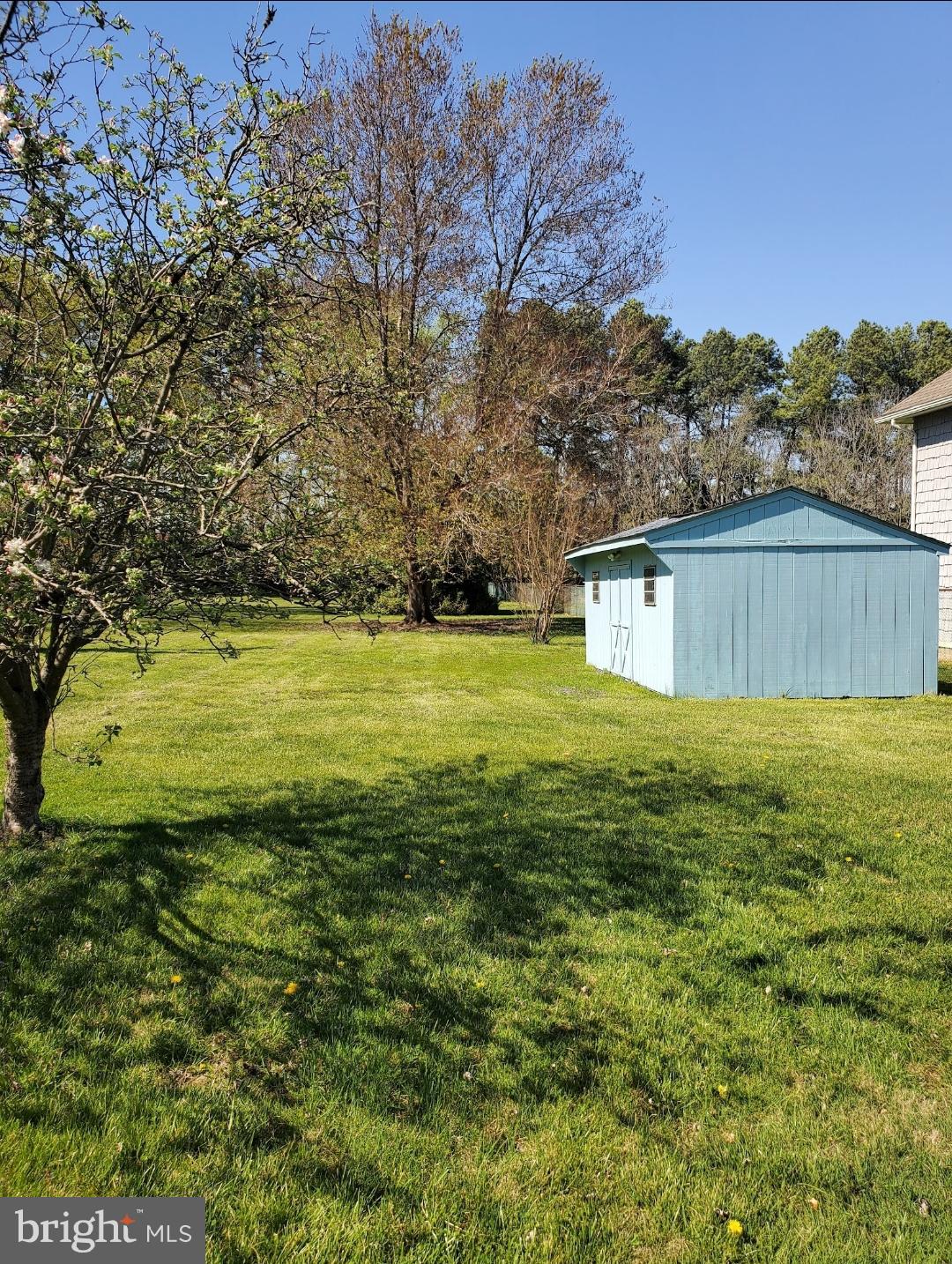 1808 Philadelphia Road Joppa, MD 21085 - Photo 3 of 15 Shed has electric.