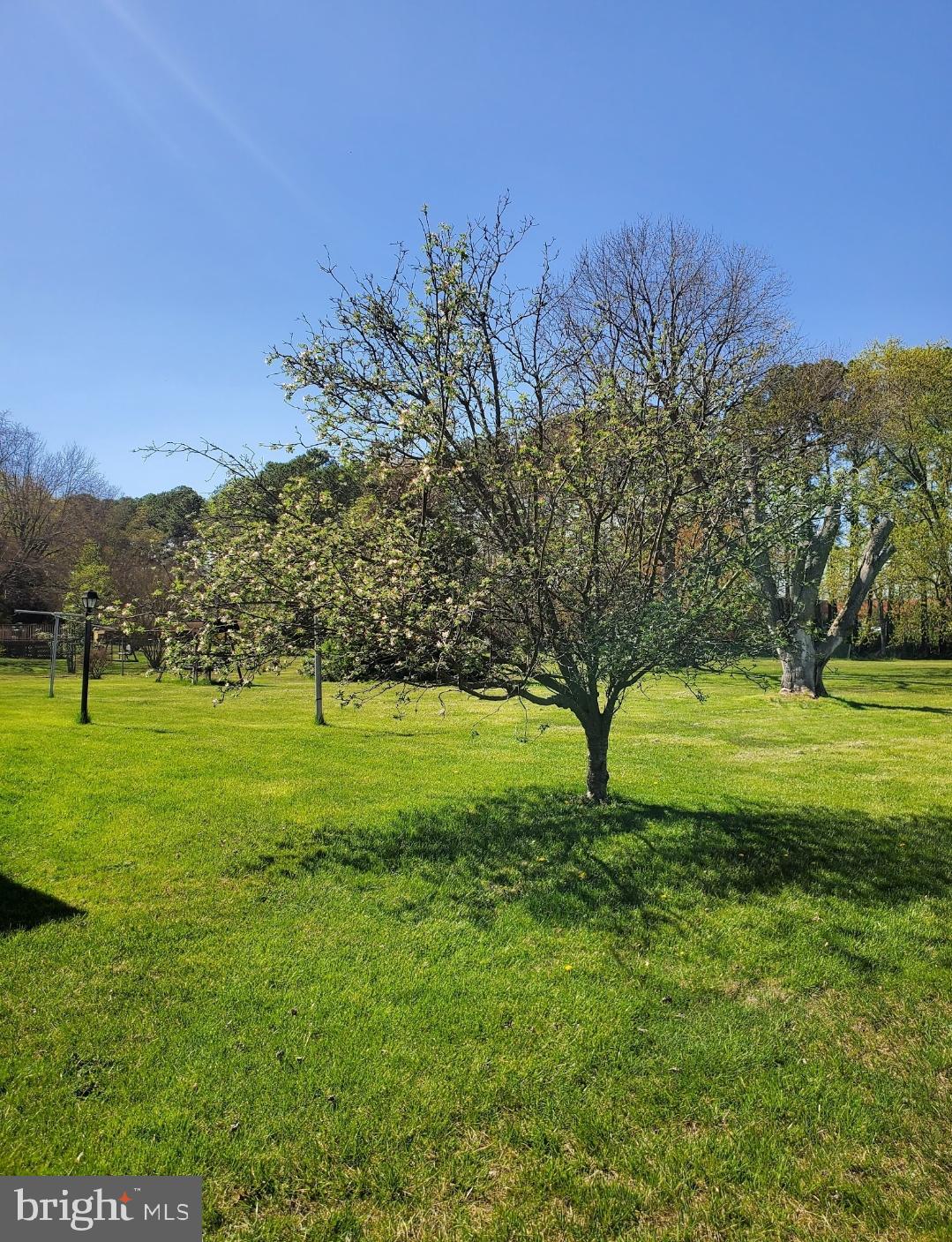 1808 Philadelphia Road Joppa, MD 21085 - Photo 9 of 15