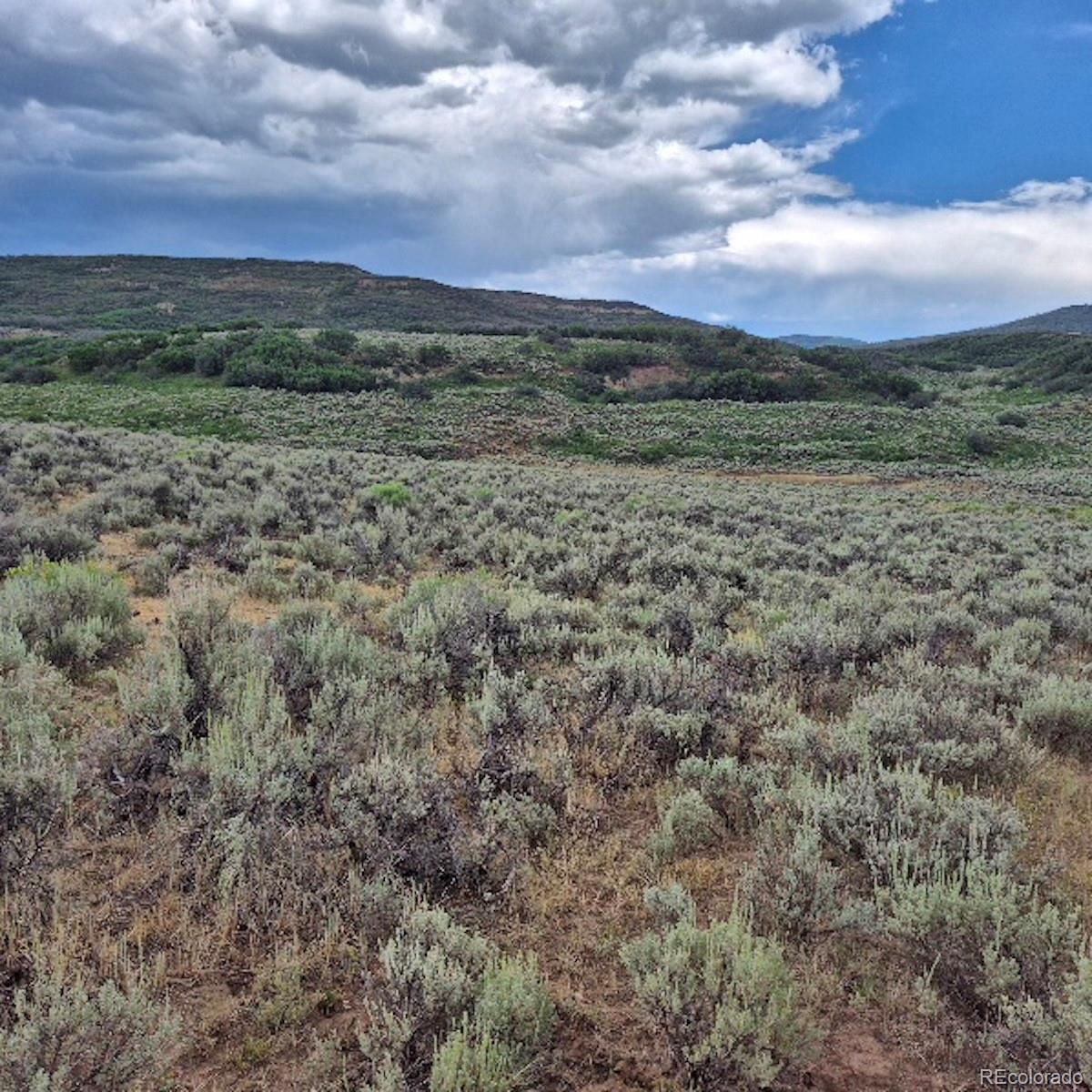 0 Harrison Creek Road Collbran, CO 81624 - Photo 17 of 40 Gallery Image 17
