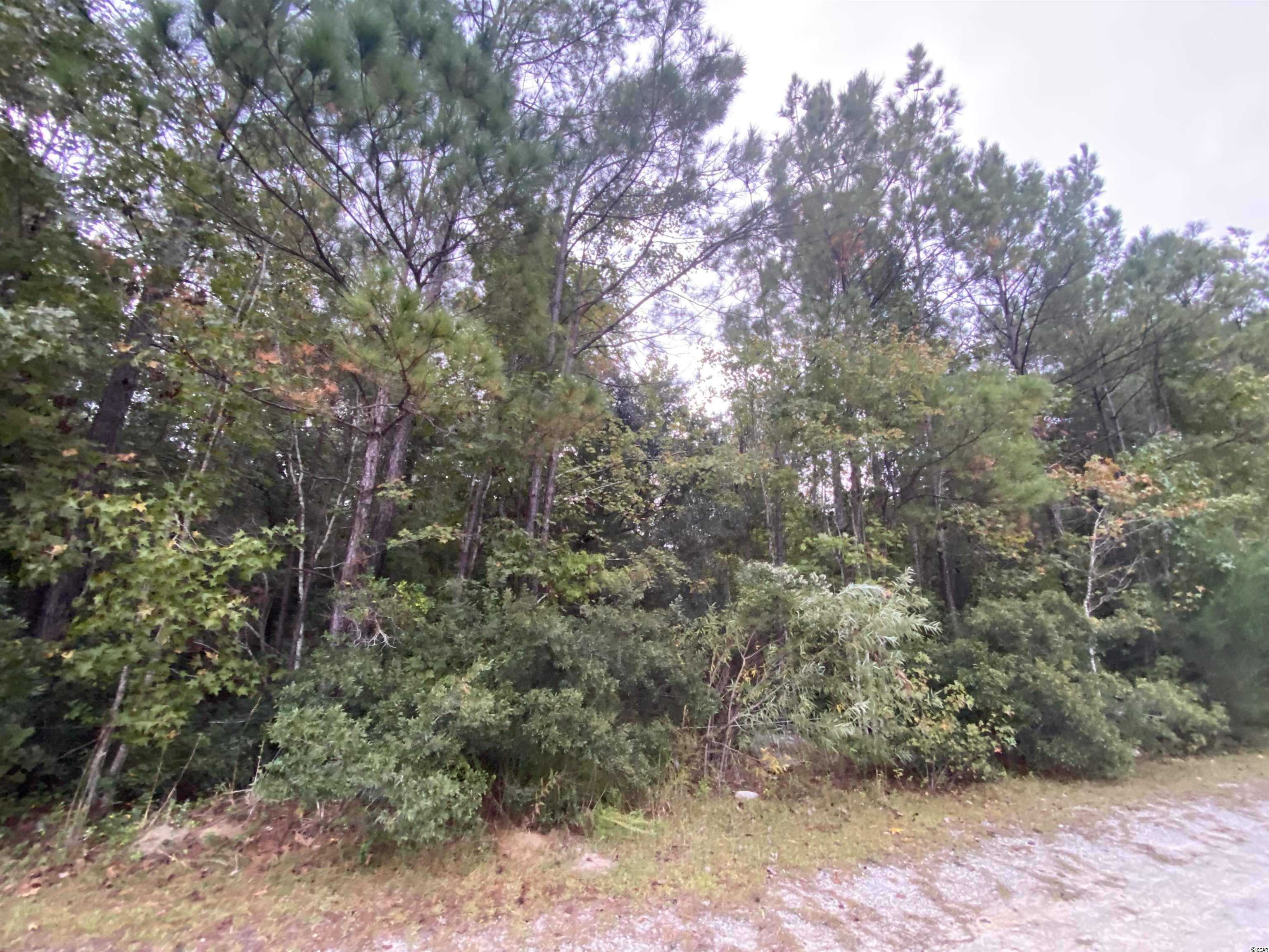 Clear Pond Road Conway, SC 29526 - Photo 1 of 7 Gallery Image 1