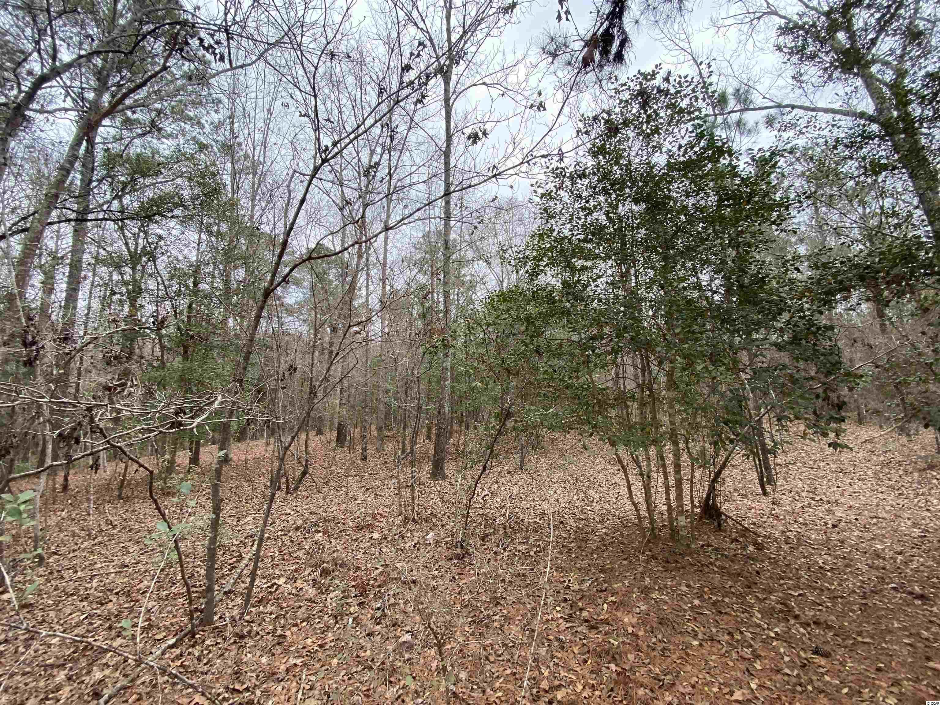 Clear Pond Road Conway, SC 29526 - Photo 3 of 7 Gallery Image 3