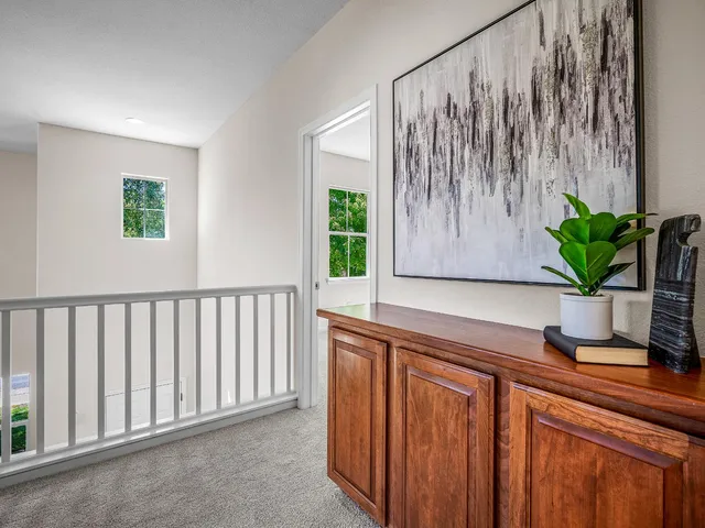 a potted plant sitting next to a window