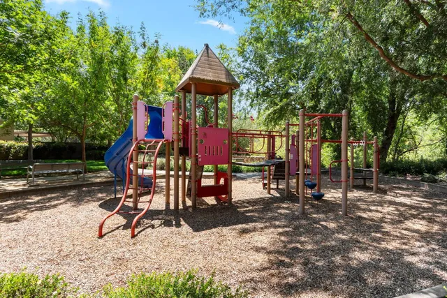 a view of a yard with plants and trees
