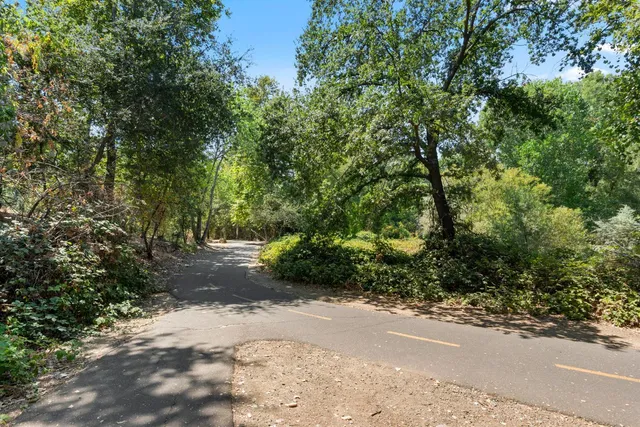 a view of outdoor space and yard