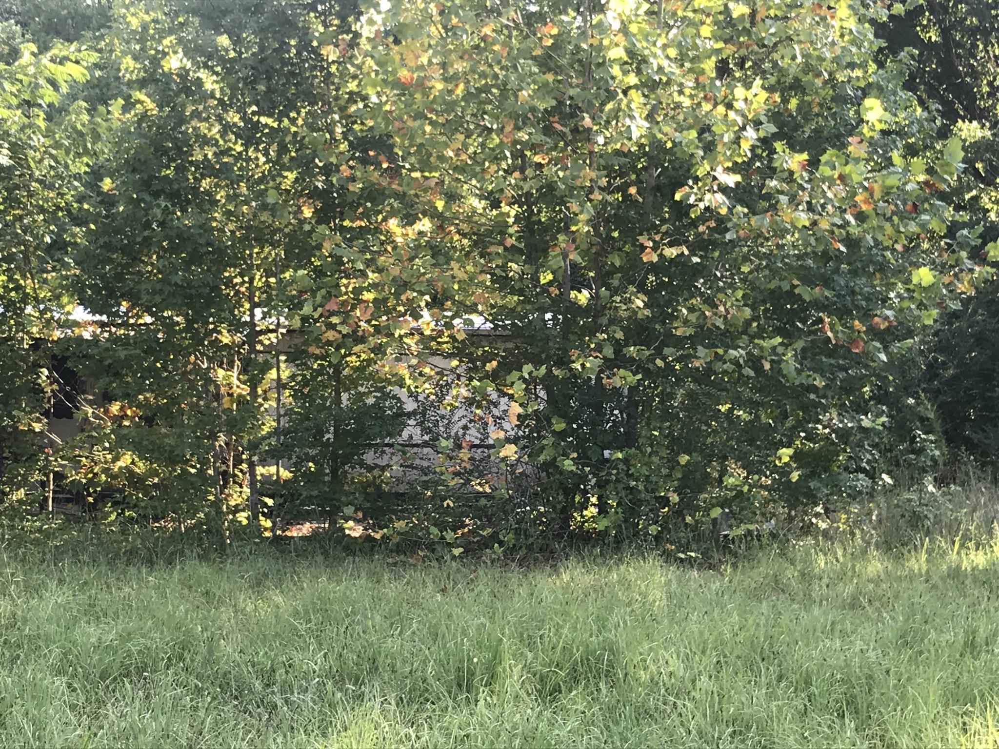 9230 Elk Ridge Road Mount Pleasant, TN 38474 - Photo 5 of 7 mobile home included w purchase, condition of mobile home is unknown.