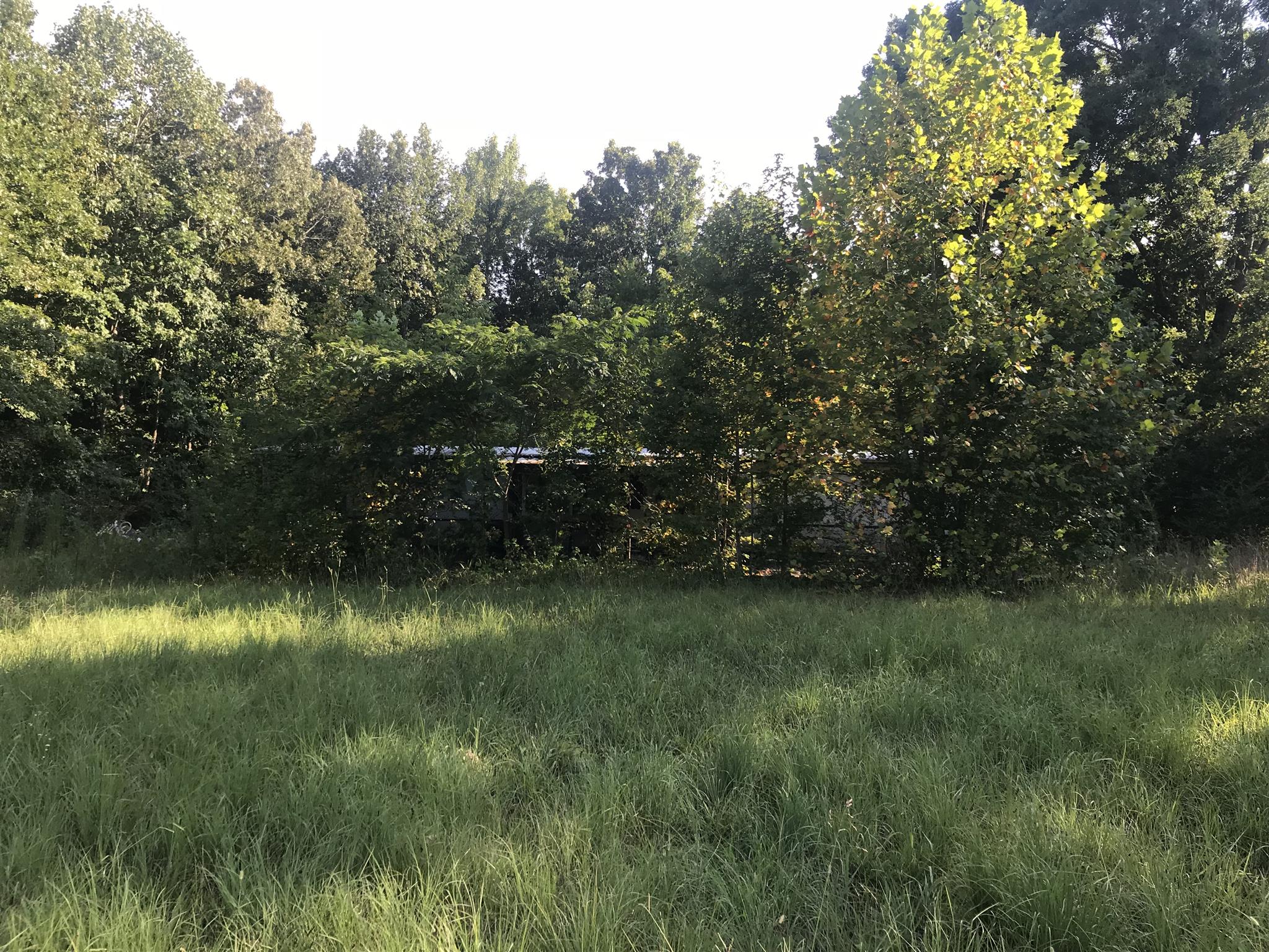 9230 Elk Ridge Road Mount Pleasant, TN 38474 - Photo 6 of 7 Gallery Image 6