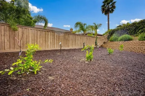 a view of garden