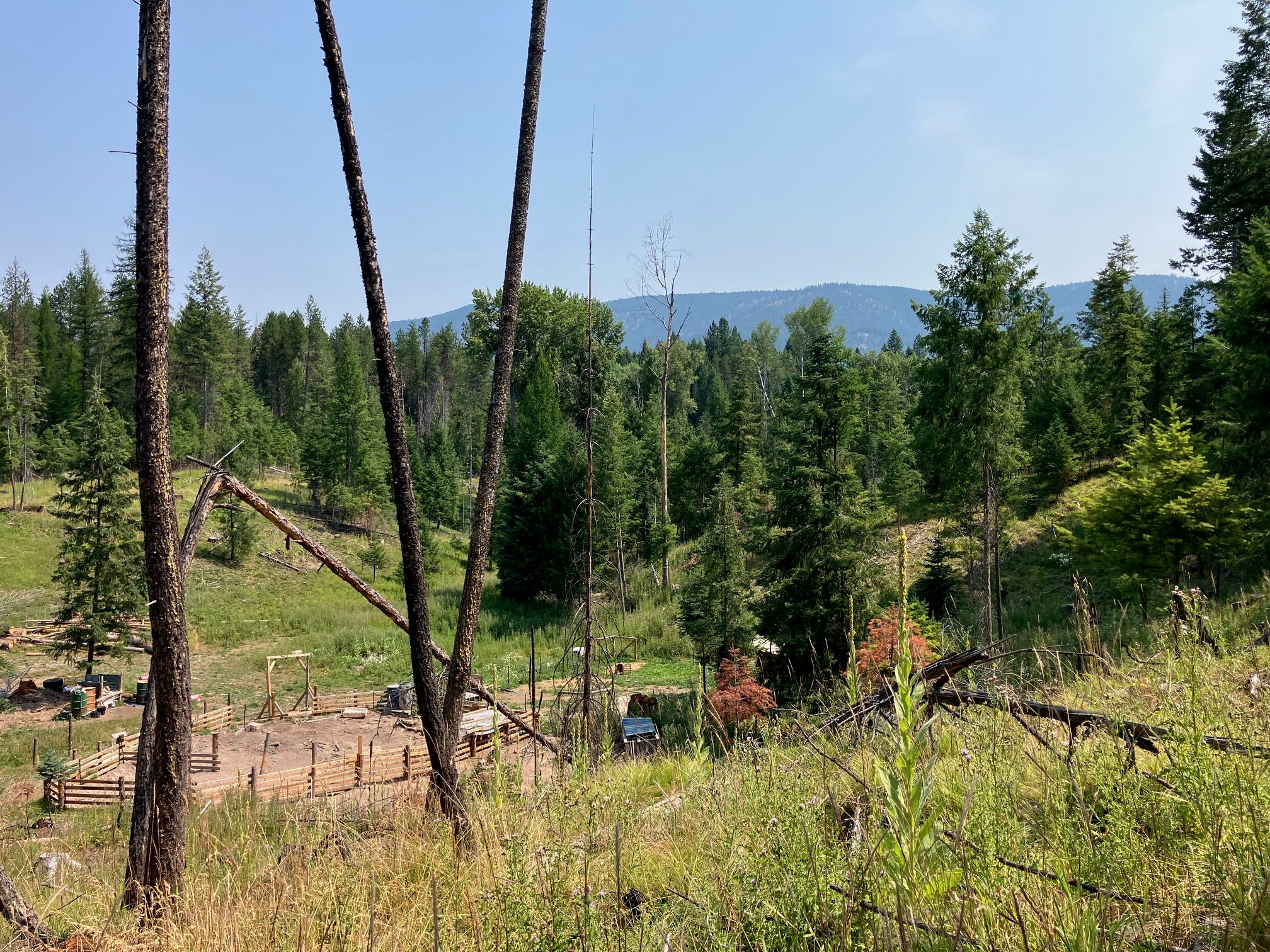416 Terrace View Road Libby, MT 59923 - Photo 47 of 55 Gallery Image 47