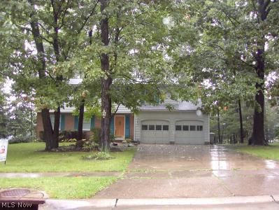 4166 Springdale Road Stow, OH 44224 - Photo 1 of 1 Exterior Front