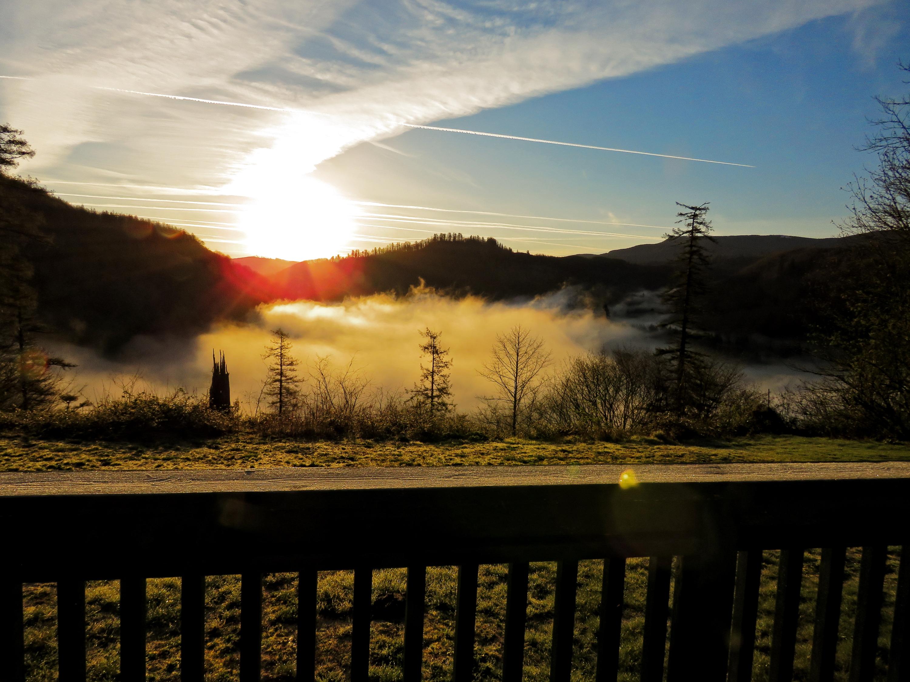 20240 Blaine Road Beaver, OR 97108 - Photo 2 of 12 Morning Sky