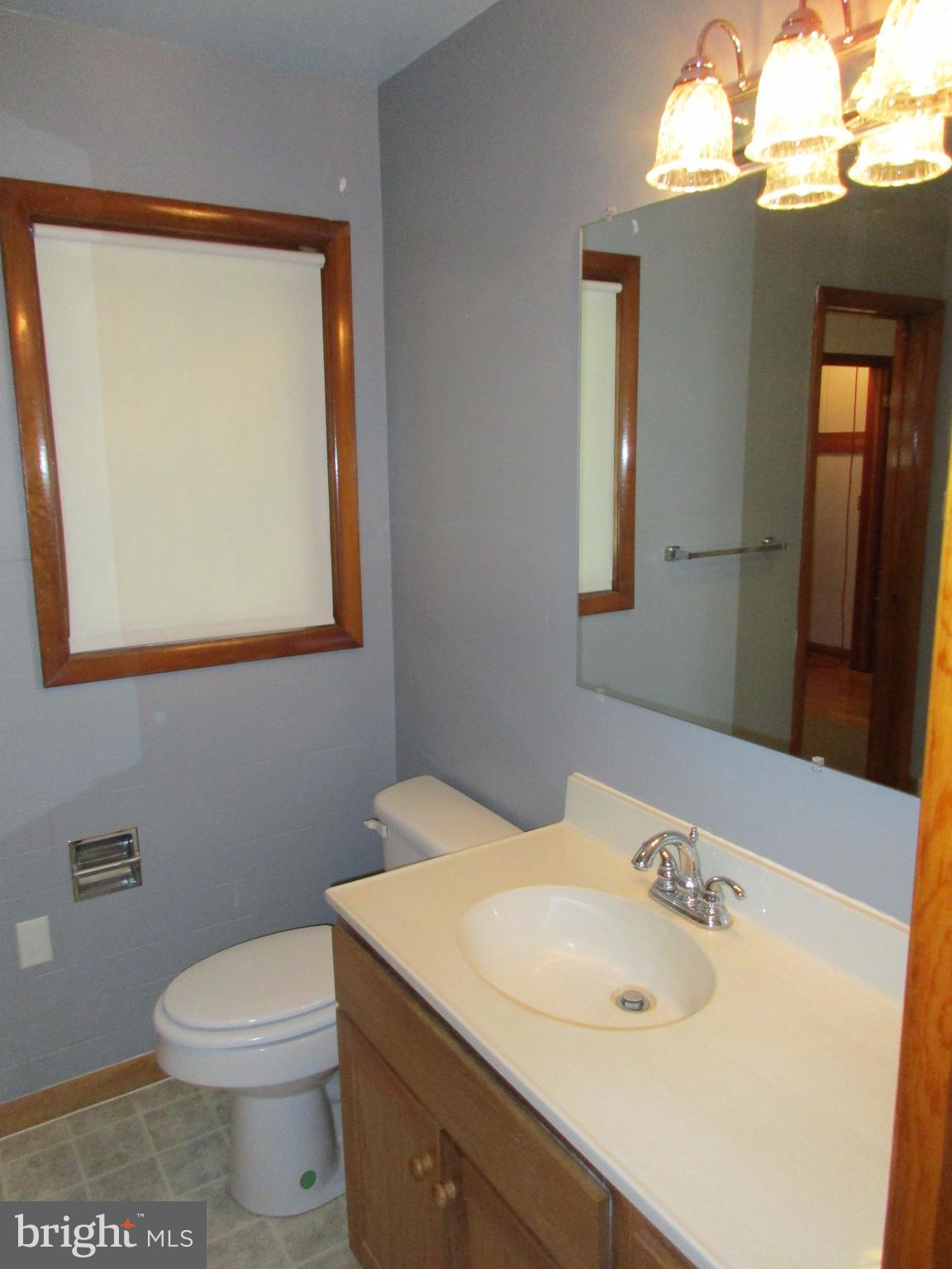 175 Johnsons Mill Road Berkeley Springs, WV 25411 - Photo 14 of 30 Bath (Master)