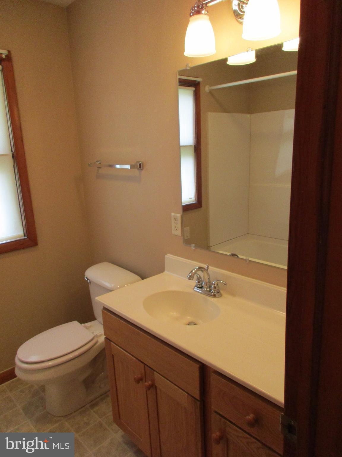 175 Johnsons Mill Road Berkeley Springs, WV 25411 - Photo 17 of 30 Bath