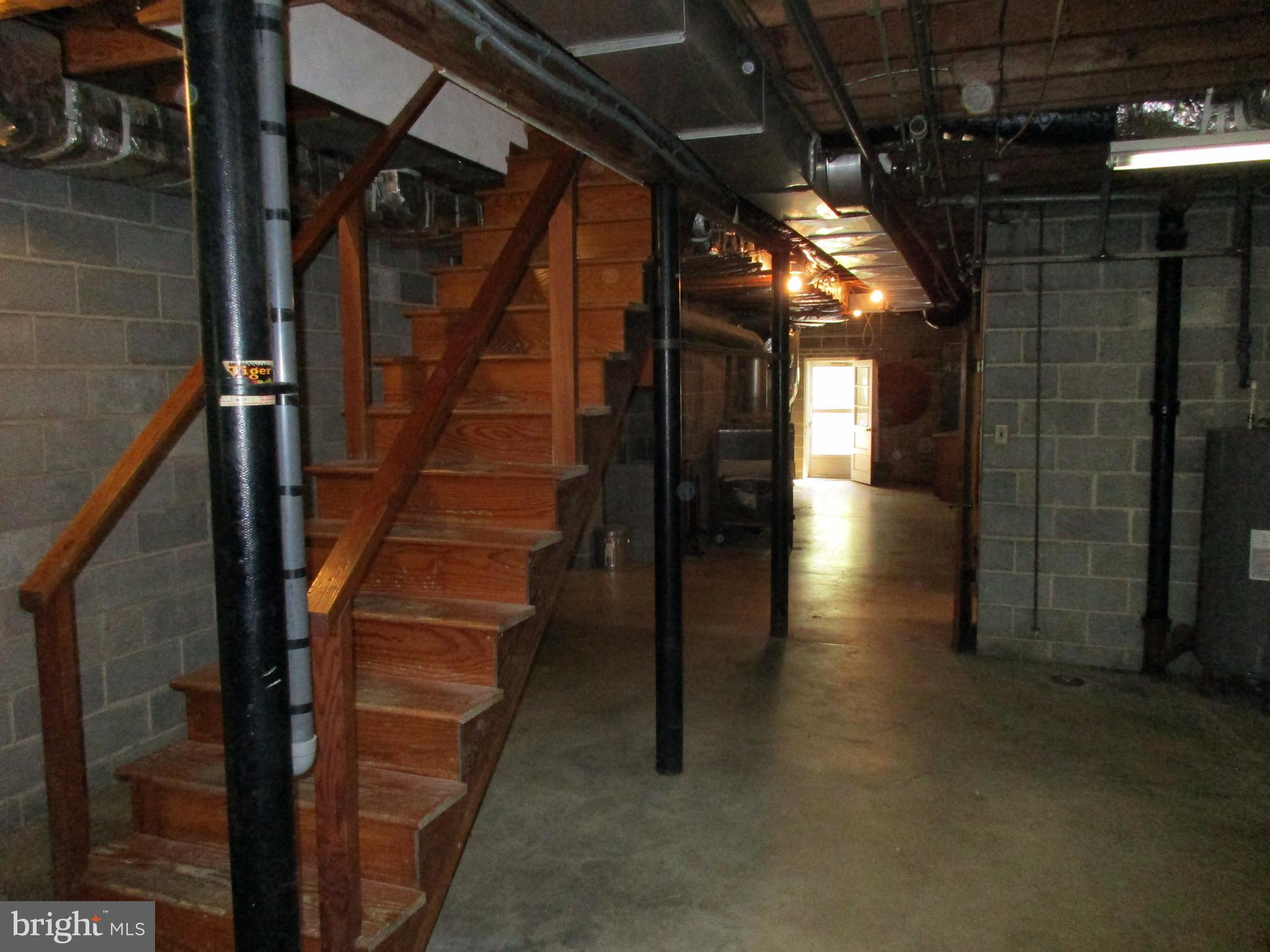 175 Johnsons Mill Road Berkeley Springs, WV 25411 - Photo 26 of 30 Basement