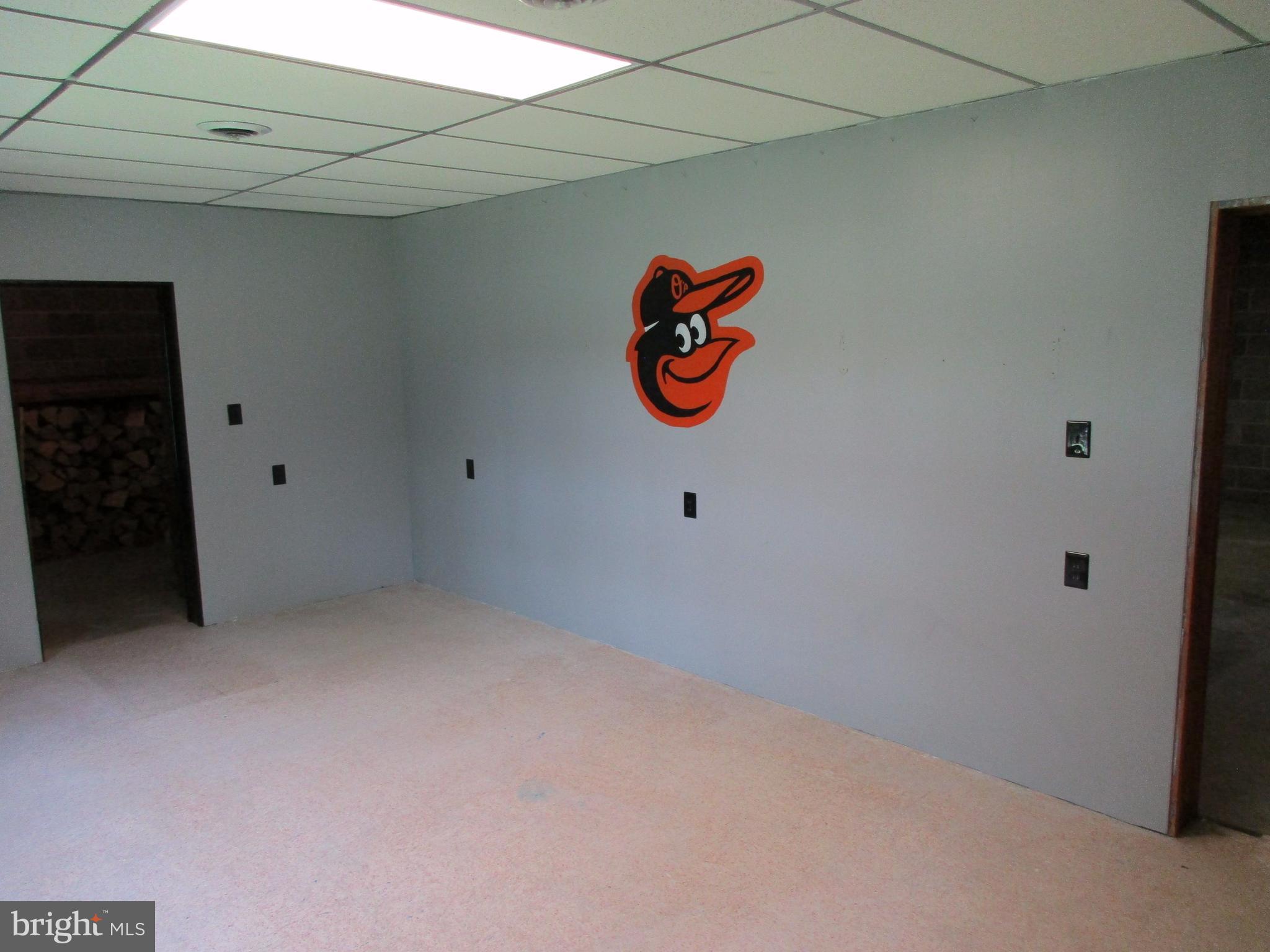 175 Johnsons Mill Road Berkeley Springs, WV 25411 - Photo 28 of 30 Basement