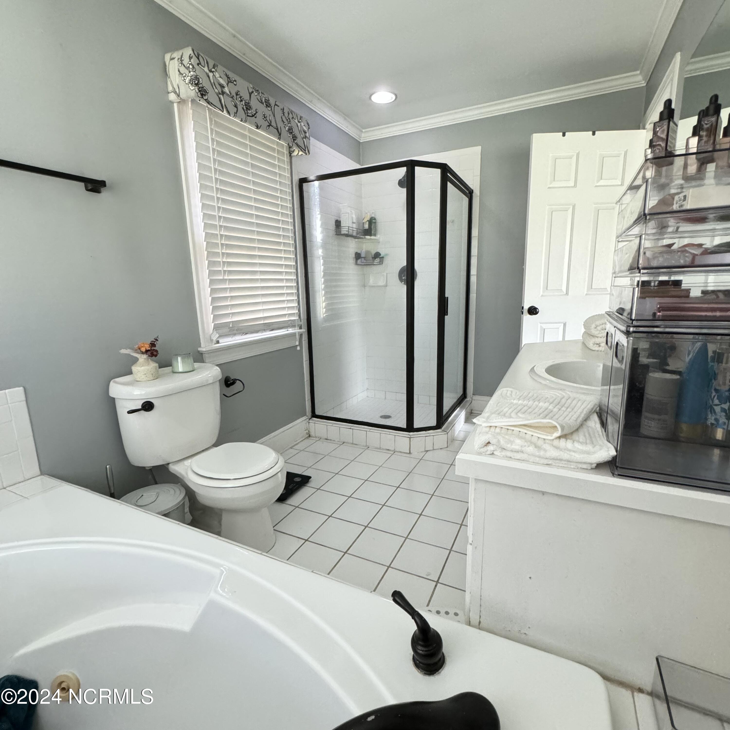 125 Saddle Ridge Road Kinston, NC 28501 - Photo 28 of 36 Owner's Bath