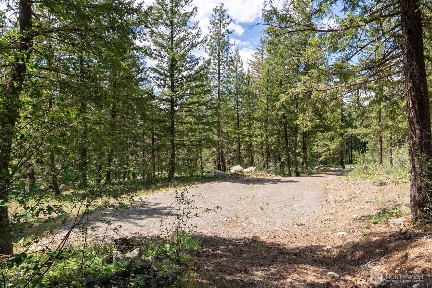 6 Homestead Road Winthrop, WA 98862 - Photo 8 of 40 a view of a yard with a tree