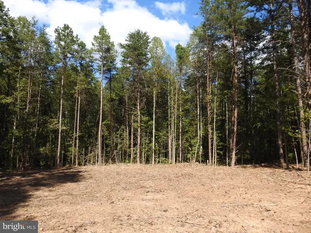a view of a backyard with trees