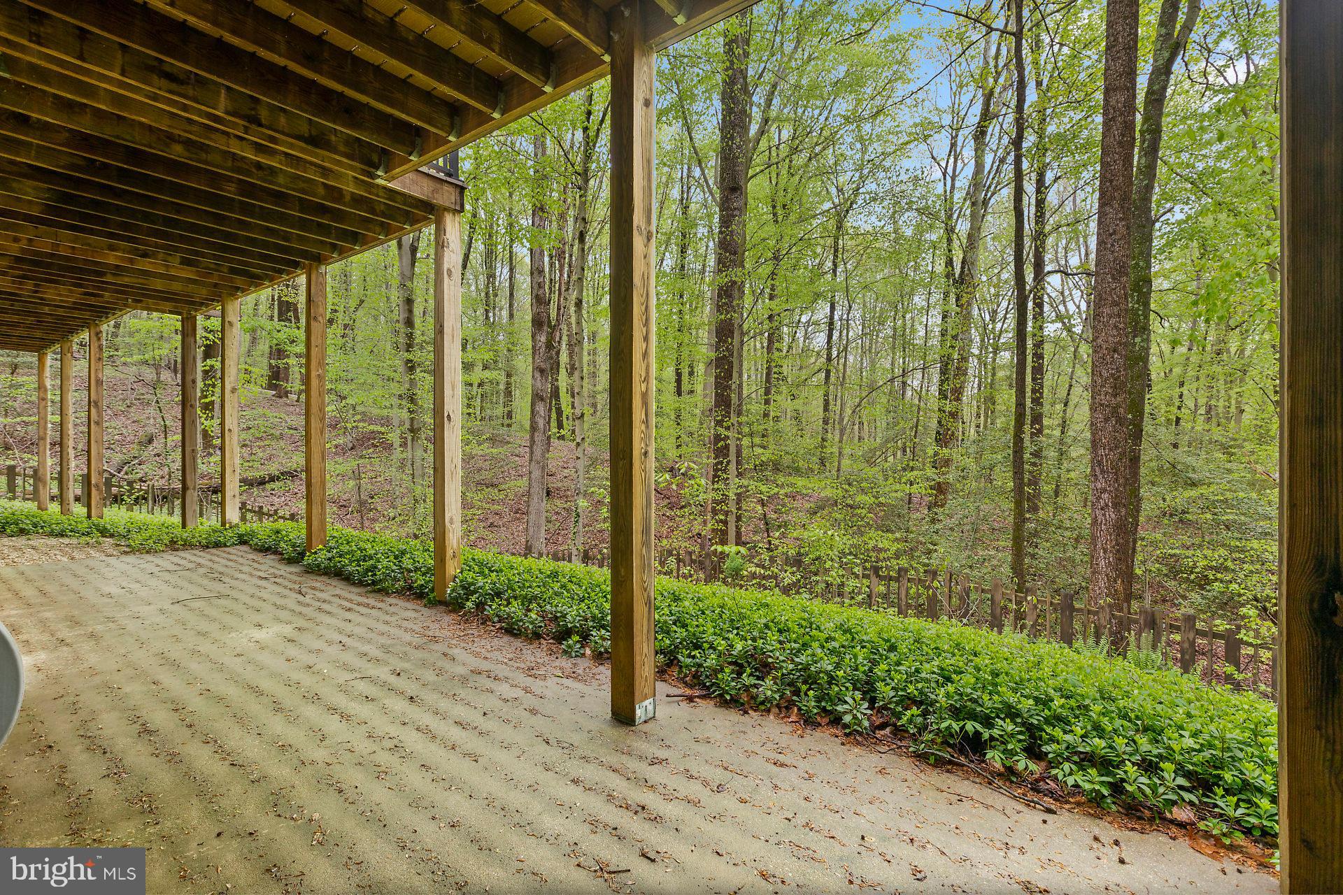 3200 Hickory Ridge Road Dunkirk, MD 20754 - Photo 41 of 44 a view of a backyard of the house