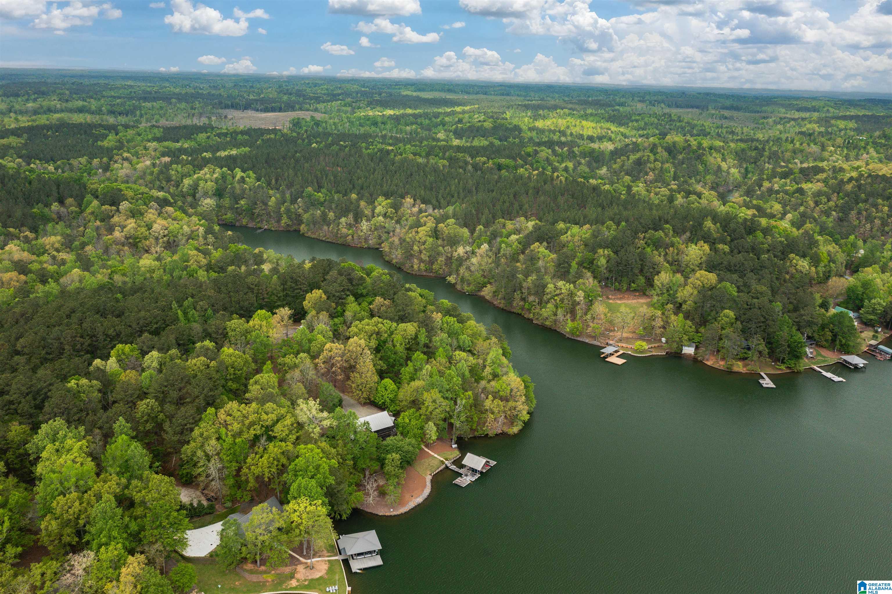 1692 Oat Road Alexander City, AL 35010 - Photo 66 of 100