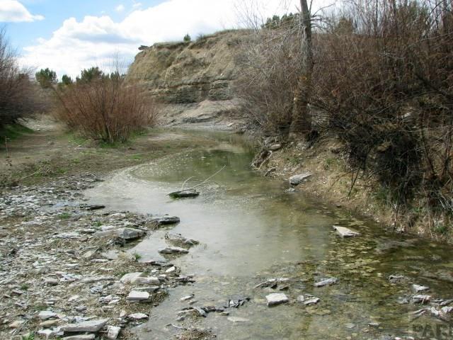 19 Salt Creek Road Pueblo, CO 81004 - Photo 7 of 25 Gallery Image 7