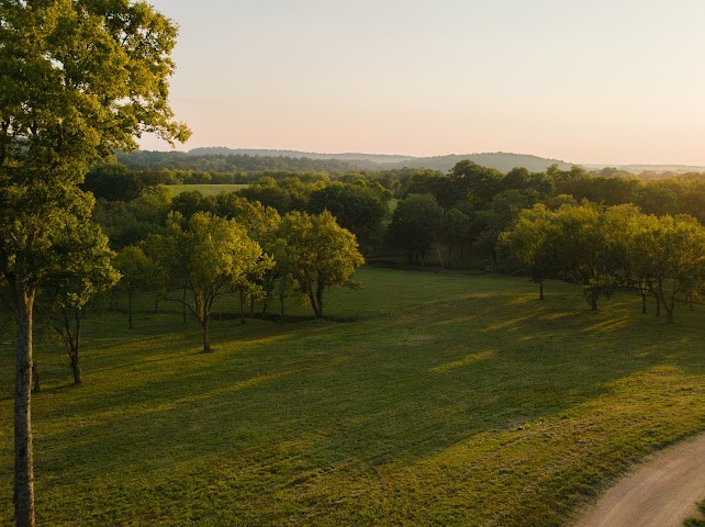 3534 Craig Bridge Road Santa Fe, TN 38482 - Photo 3 of 76 Gallery Image 3