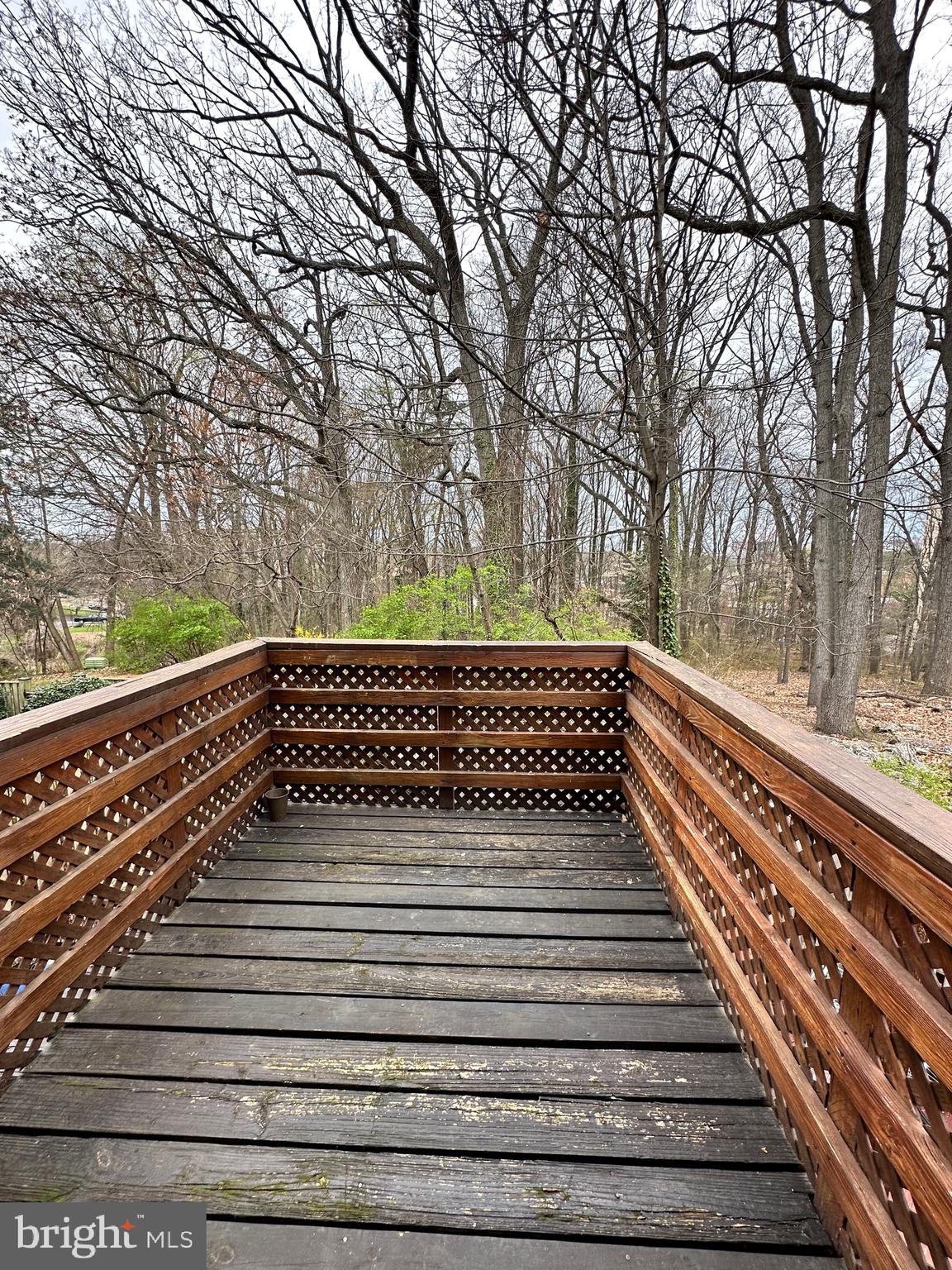 2258 Cartbridge Road Falls Church, VA 22043 - Photo 31 of 35