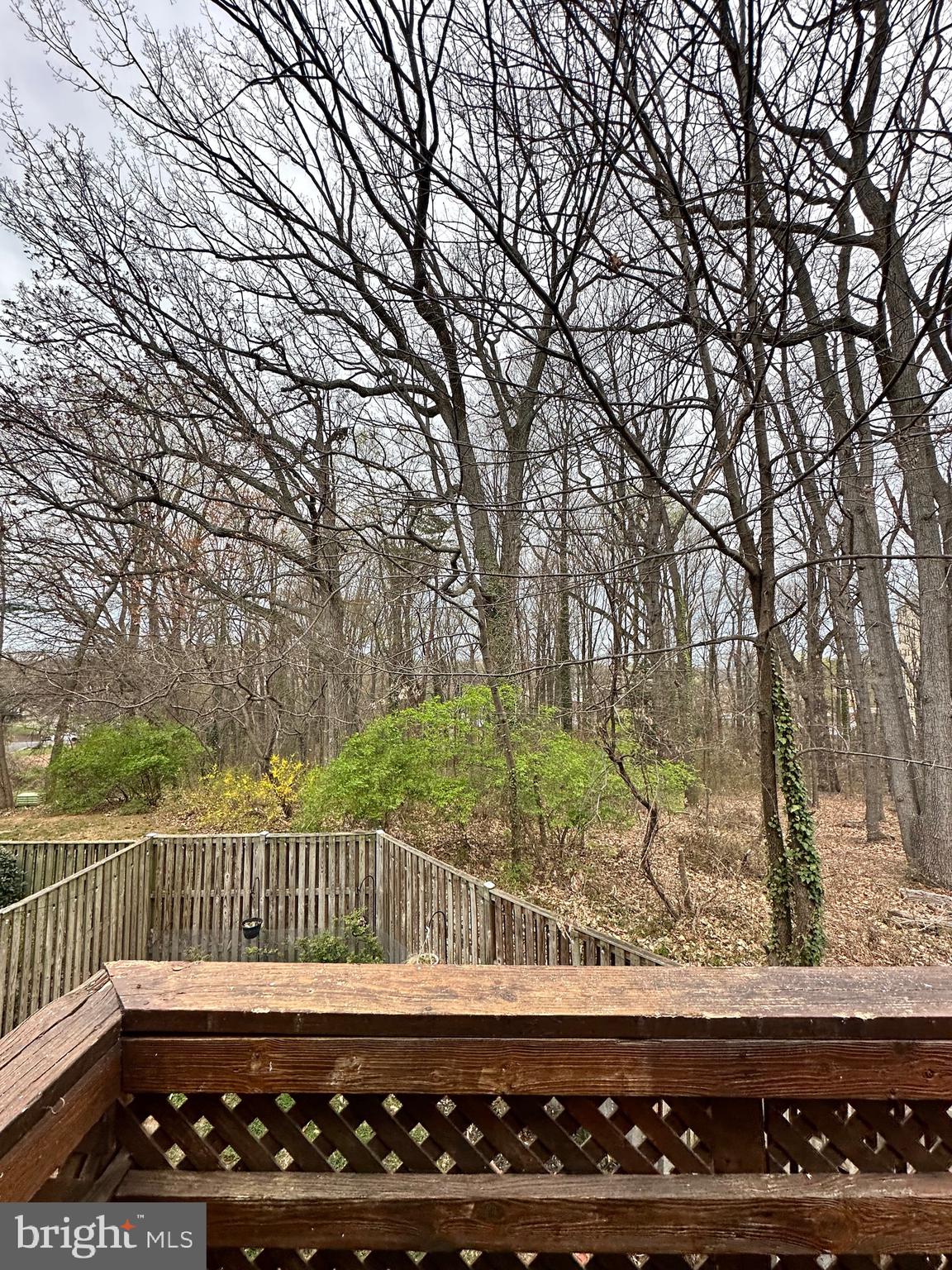 2258 Cartbridge Road Falls Church, VA 22043 - Photo 33 of 35 a view of a roof deck with wooden fence and trees