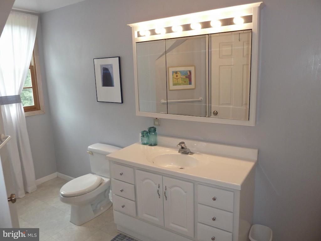 7035 Olinger Road Marshall, VA 20115 - Photo 20 of 25 a bathroom with a sink mirror vanity and toilet