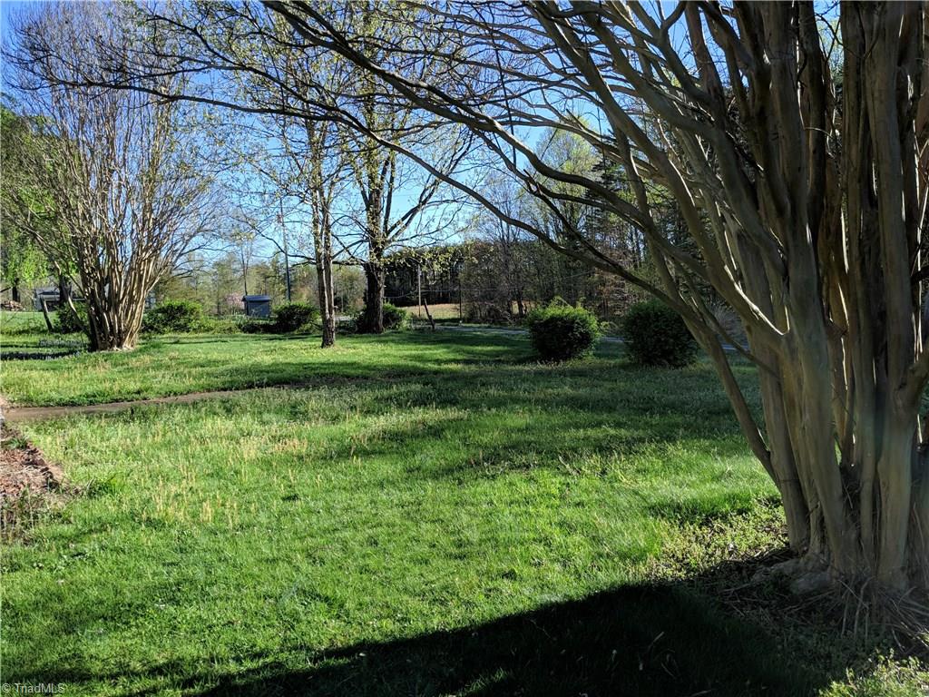 1704 Buffalo Road Sandy Ridge, NC 27046 - Photo 4 of 16