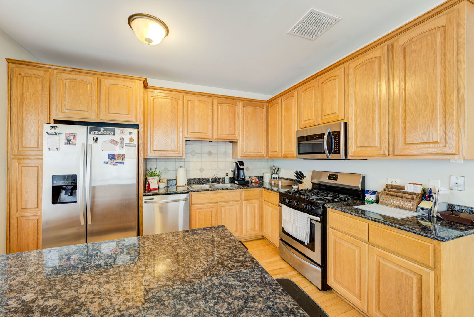 7237 West Addison Street, Unit 1N Chicago, IL 60634 - Photo 11 of 27
