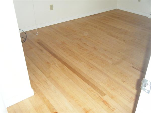 972 Ryan Road Northampton, MA 01062 - Photo 8 of 13