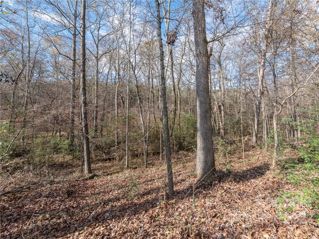 24209 Old Aquadale Road Albemarle, NC 28001 - Photo 32 of 37 Gallery Image 32