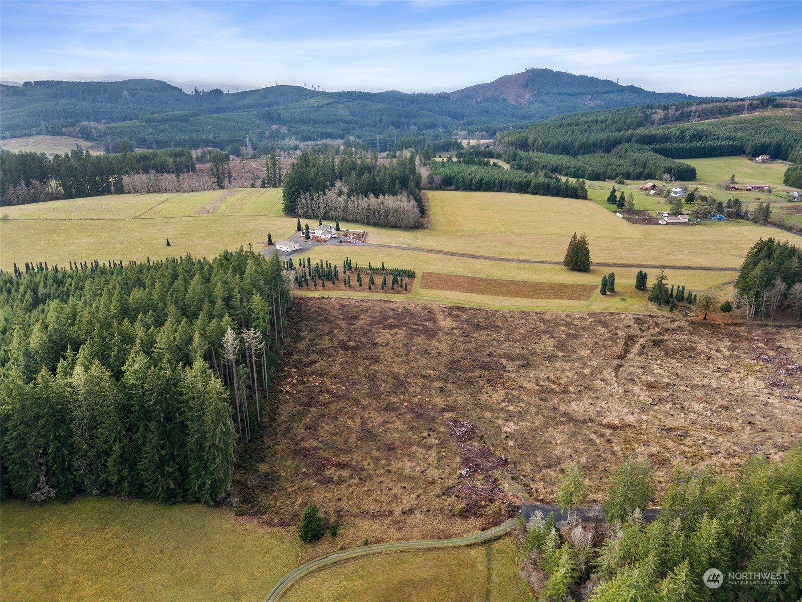 0 Fries Road Winlock, WA 98596 - Photo 12 of 16