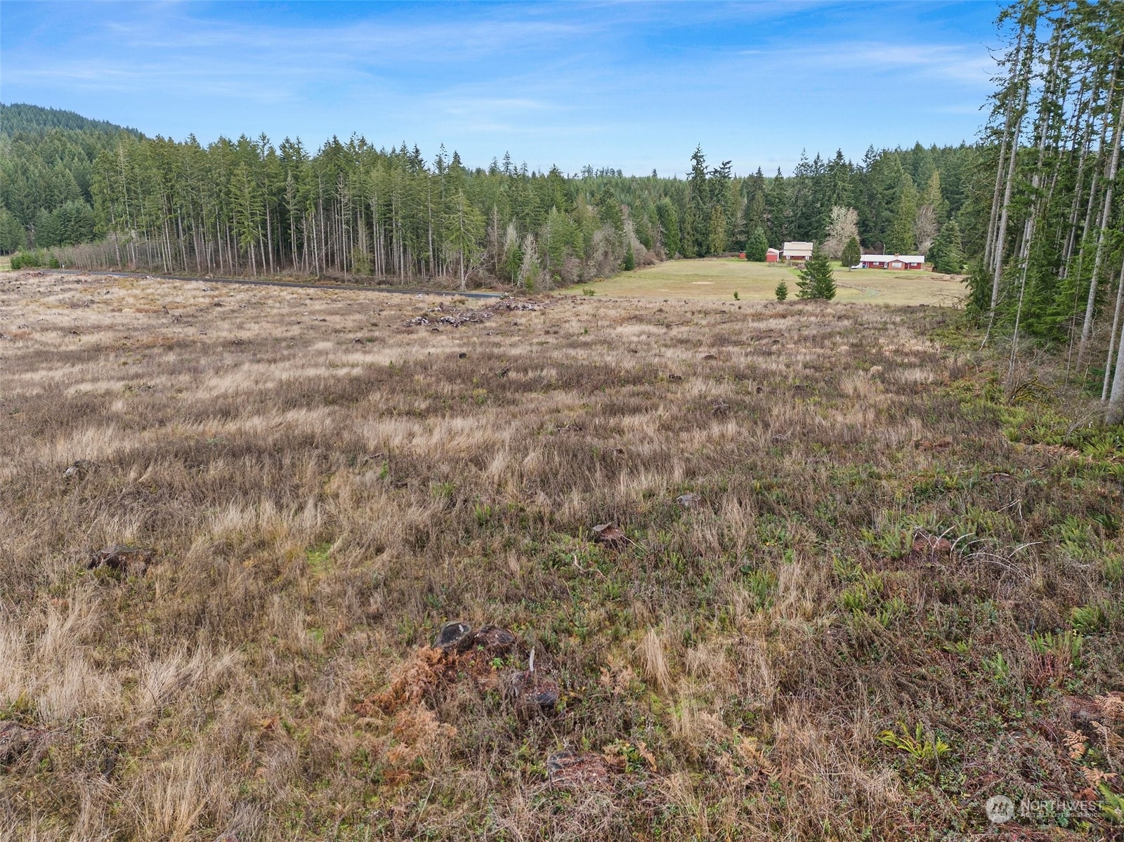 0 Fries Road Winlock, WA 98596 - Photo 14 of 16