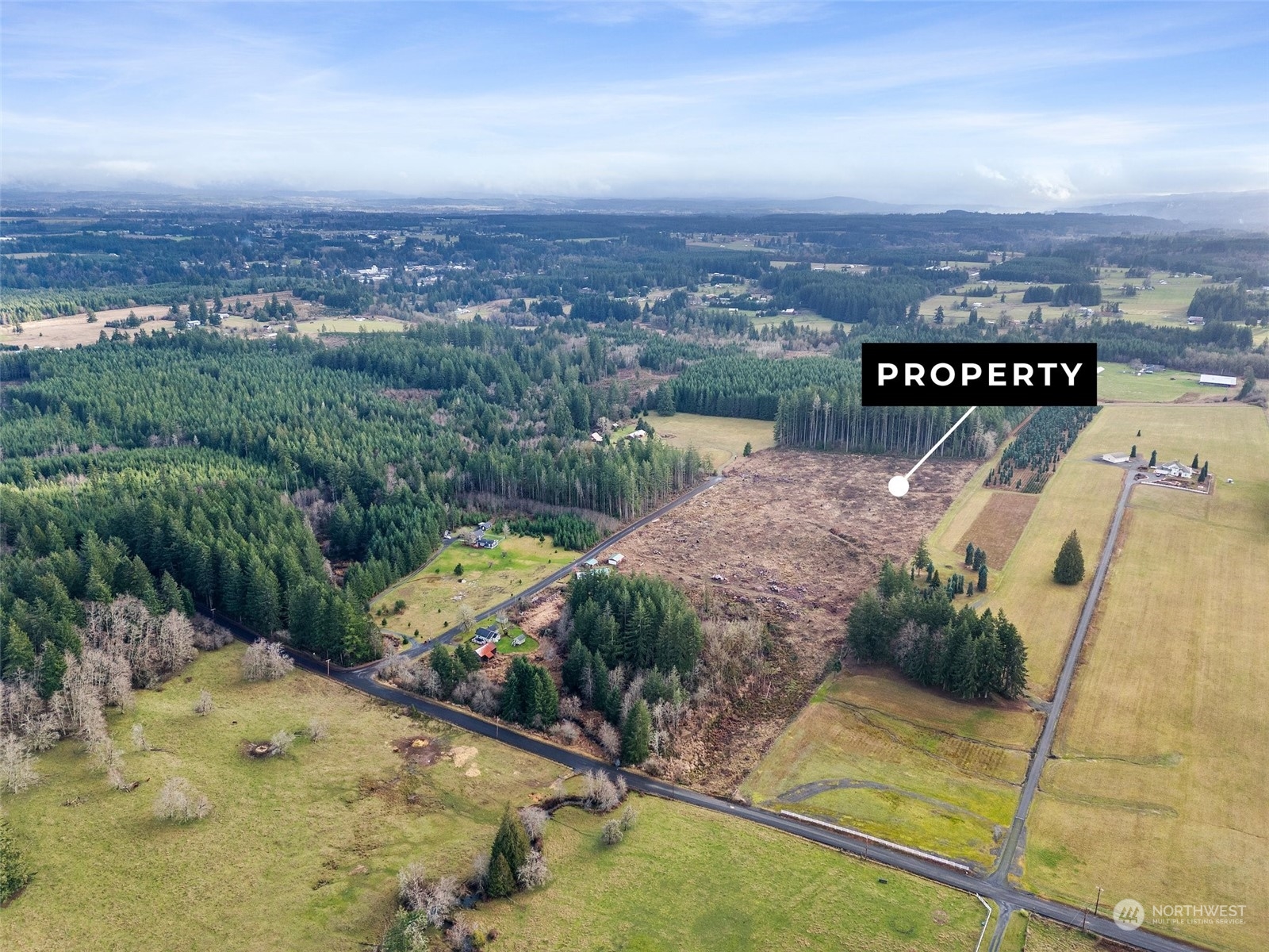 0 Fries Road Winlock, WA 98596 - Photo 2 of 16