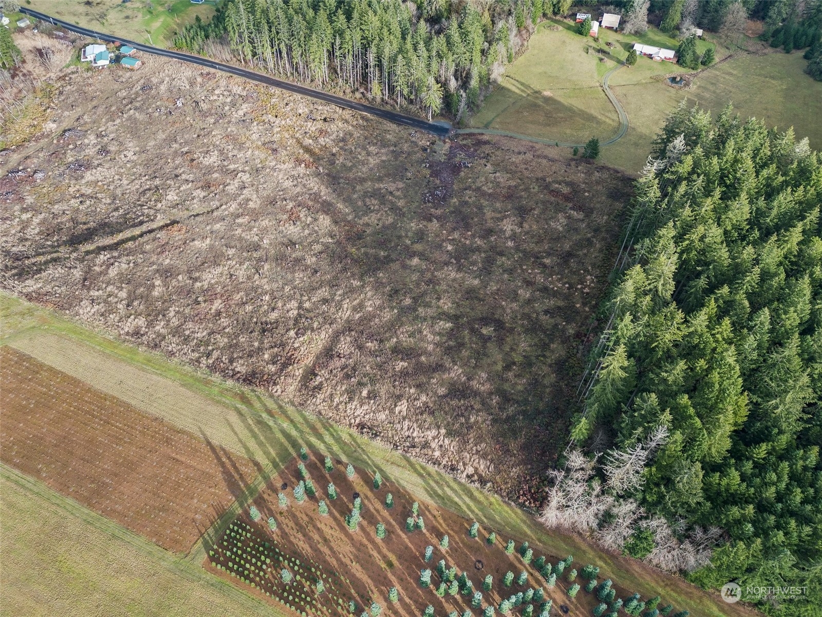 0 Fries Road Winlock, WA 98596 - Photo 5 of 16