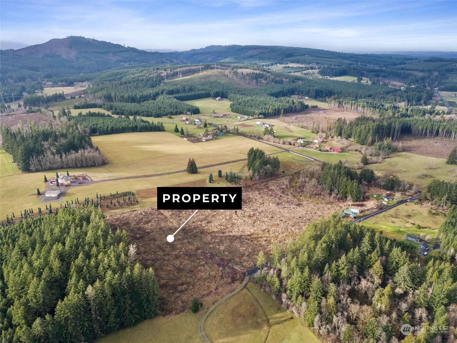 0 Fries Road Winlock, WA 98596 - Photo 8 of 16