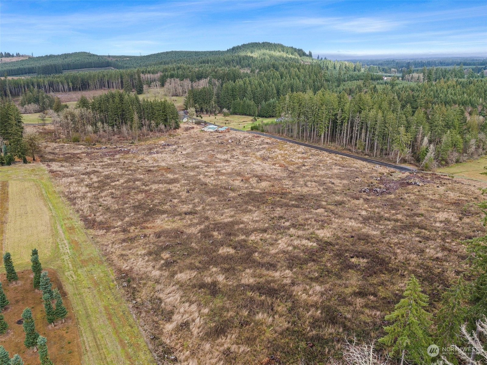 0 Fries Road Winlock, WA 98596 - Photo 9 of 16