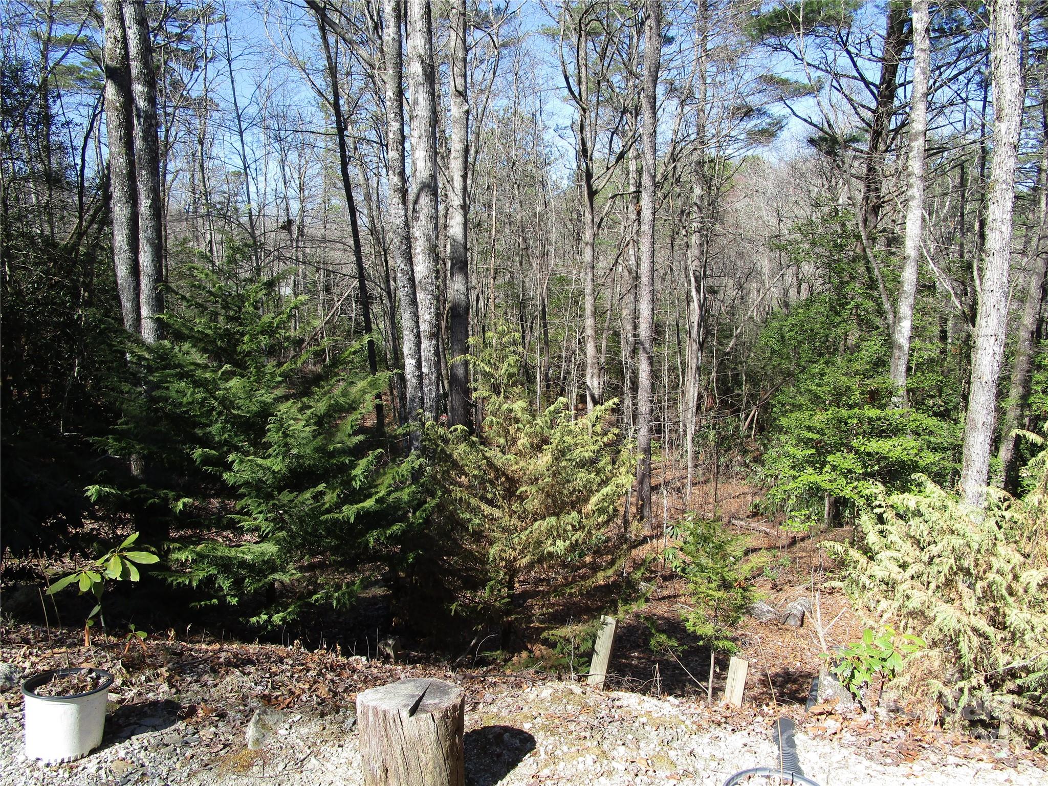 116 Minerva Lane Sapphire, NC 28774 - Photo 37 of 42 a view of outdoor space and garden